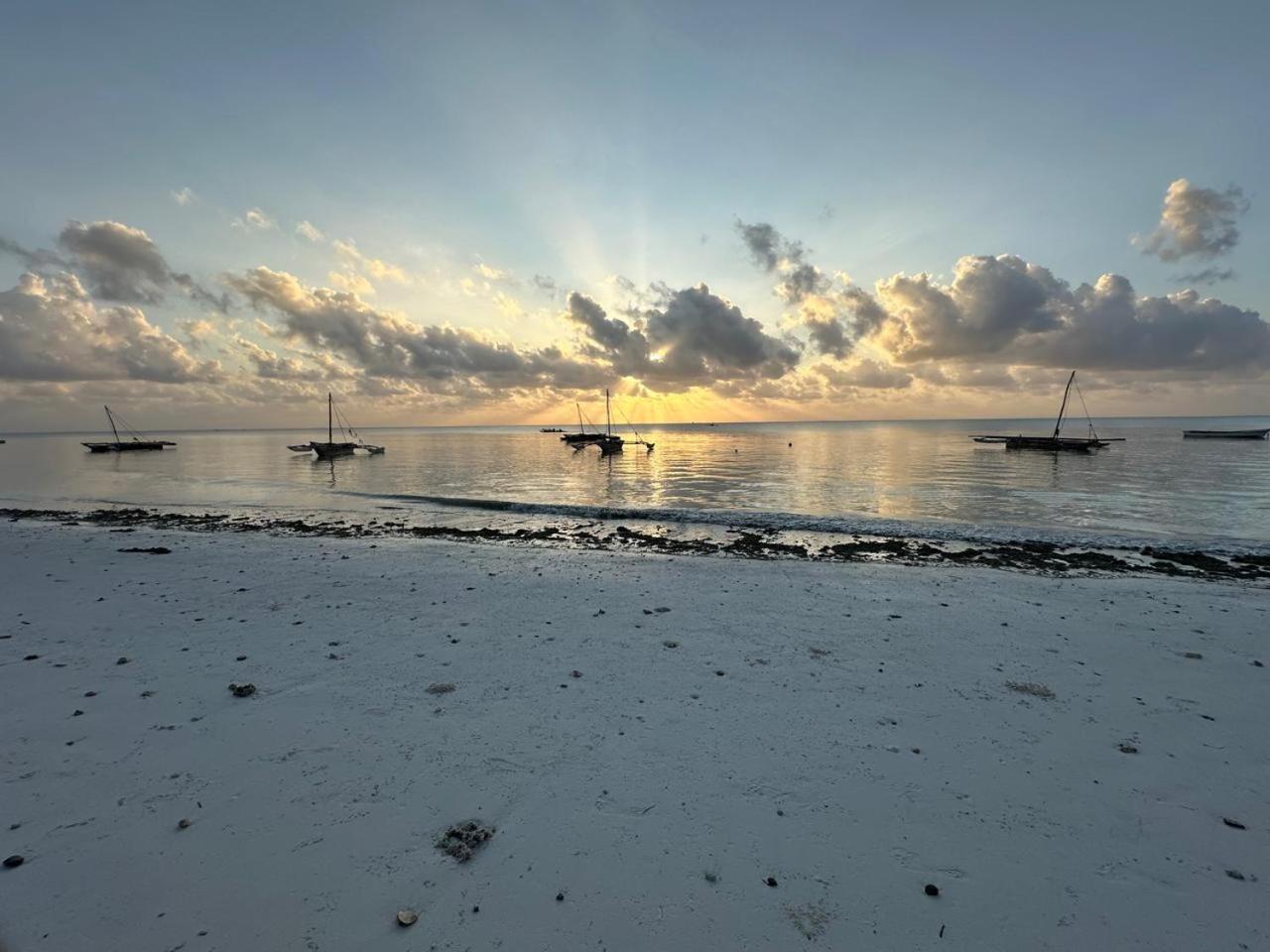 פאג'ה Villa Serenity, Tanzania Unforgettable מראה חיצוני תמונה